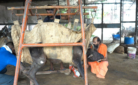 Shree Hari Gauraksha Medical Facility