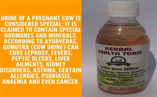 Cow Urine / Gaumutra